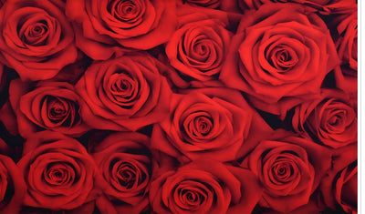 Red Rose Backdrop Flowers Rose Wall Background Valentines Day Wedding Photo Booth Girls Birthday Decoration Bridal Shower Party Banner Video Props