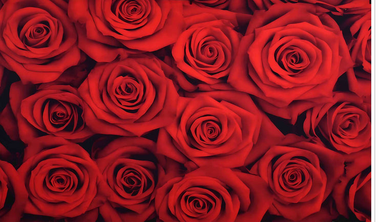 Red Rose Backdrop Flowers Rose Wall Background Valentines Day Wedding Photo Booth Girls Birthday Decoration Bridal Shower Party Banner Video Props